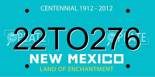 22TO276 New Mexico License Plate