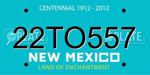 22TO557 New Mexico License Plate