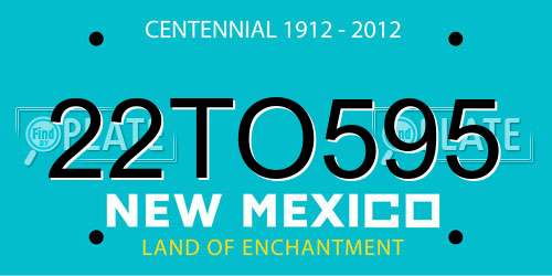 22TO595 New Mexico License Plate