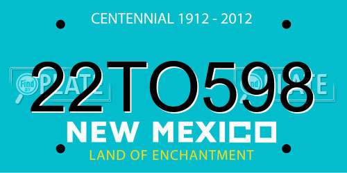 22TO598 New Mexico License Plate