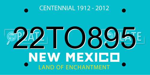 22TO895 New Mexico License Plate