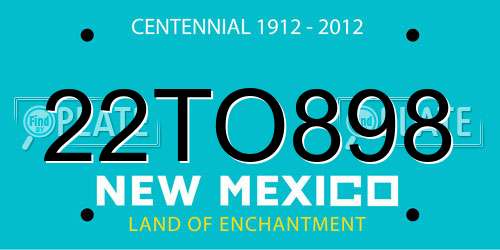 22TO898 New Mexico License Plate