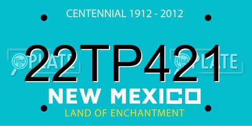 22TP421 New Mexico License Plate