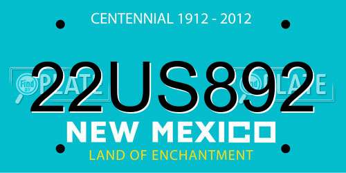 22US892 New Mexico License Plate