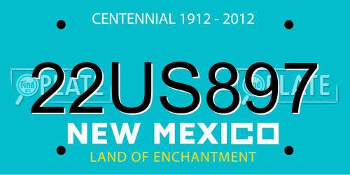 22US897 New Mexico License Plate