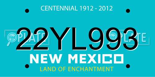 22YL993 New Mexico License Plate