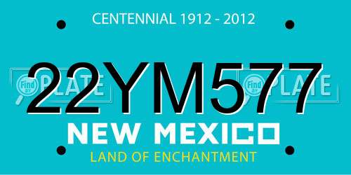 22YM577 New Mexico License Plate