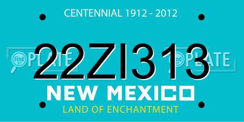 22ZI313 New Mexico License Plate