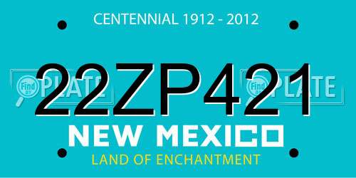 22ZP421 New Mexico License Plate