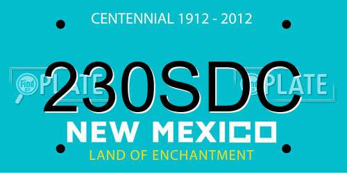 230SDC New Mexico License Plate