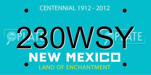 230WSY New Mexico License Plate