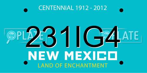 231IG4 New Mexico License Plate