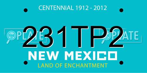 231TP2 New Mexico License Plate