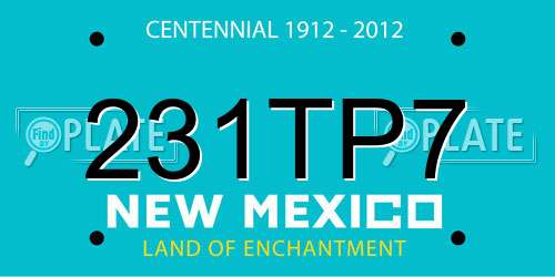 231TP7 New Mexico License Plate