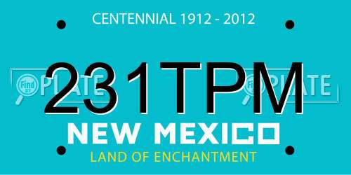 231TPM New Mexico License Plate