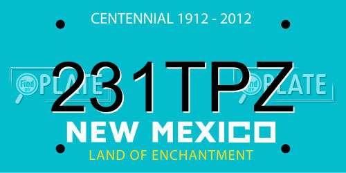 231TPZ New Mexico License Plate