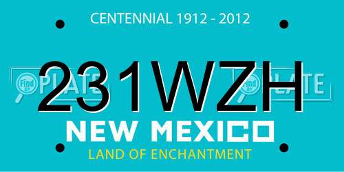 231WZH New Mexico License Plate