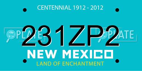 231ZP2 New Mexico License Plate