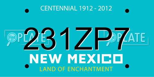 231ZP7 New Mexico License Plate