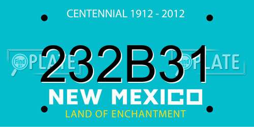 232B31 New Mexico License Plate