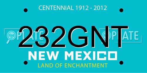 232GNT New Mexico License Plate