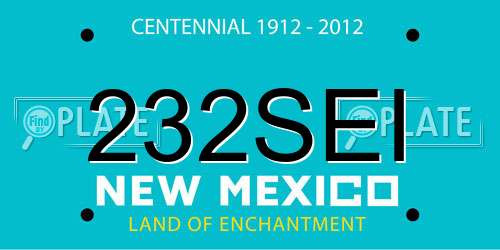 232SEI New Mexico License Plate