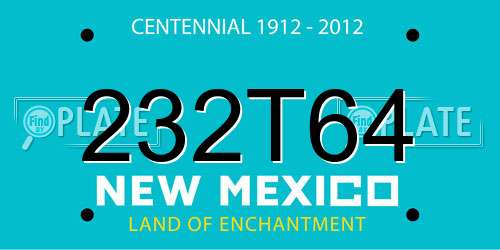 232T64 New Mexico License Plate