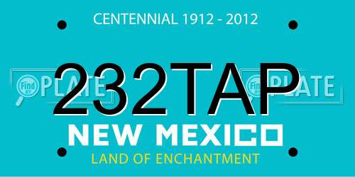 232TAP New Mexico License Plate