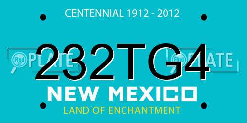 232TG4 New Mexico License Plate