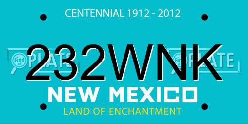 232WNK New Mexico License Plate