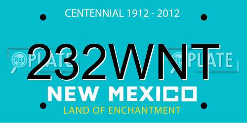 232WNT New Mexico License Plate