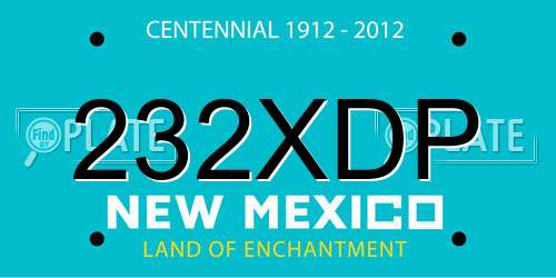 232XDP New Mexico License Plate