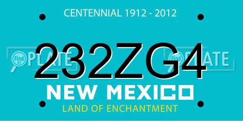 232ZG4 New Mexico License Plate
