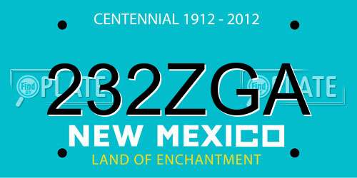 232ZGA New Mexico License Plate