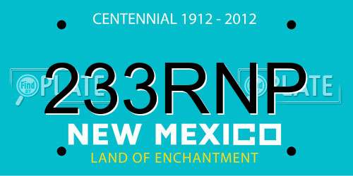 233RNP New Mexico License Plate