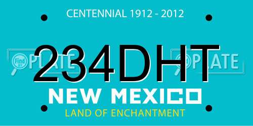 234DHT New Mexico License Plate