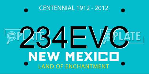 234EVC New Mexico License Plate