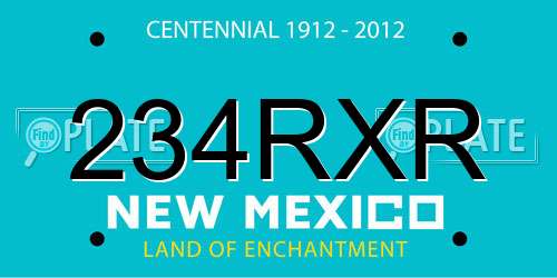 234RXR New Mexico License Plate