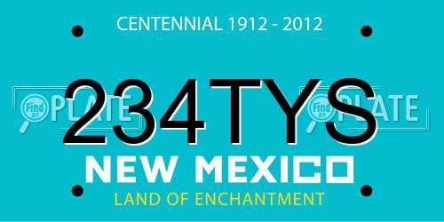 234TYS New Mexico License Plate