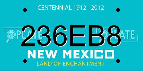 236EB8 New Mexico License Plate