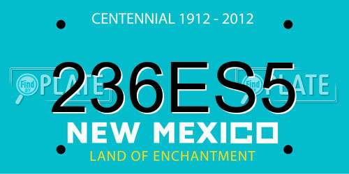 236ES5 New Mexico License Plate