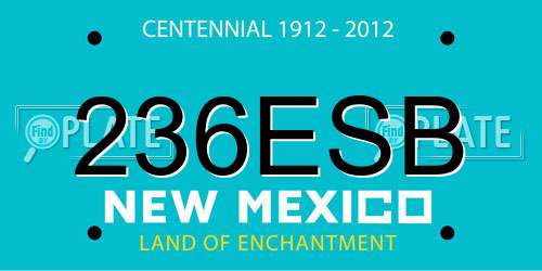 236ESB New Mexico License Plate