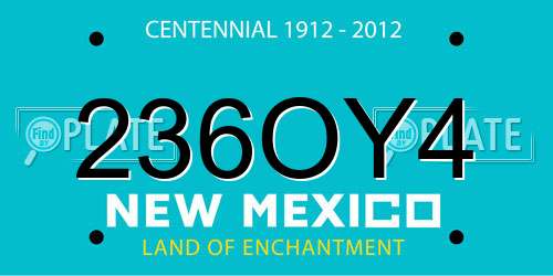 236OY4 New Mexico License Plate