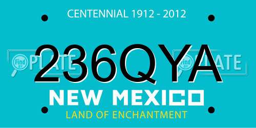 236QYA New Mexico License Plate