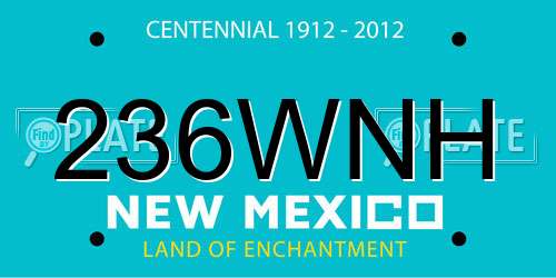 236WNH New Mexico License Plate
