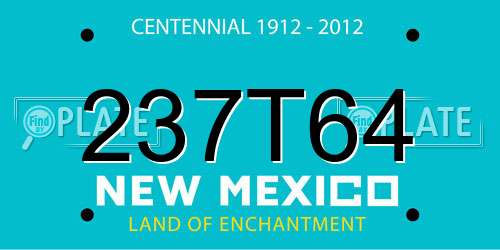 237T64 New Mexico License Plate