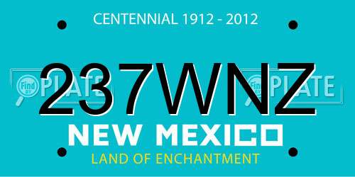 237WNZ New Mexico License Plate