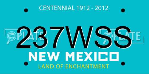 237WSS New Mexico License Plate