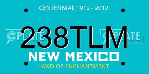 238TLM New Mexico License Plate