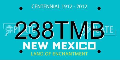 238TMB New Mexico License Plate